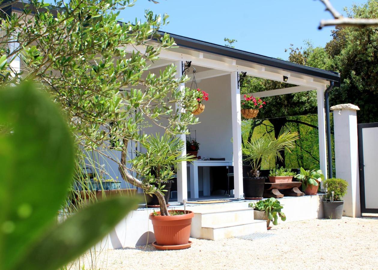 Oliven Garden Villa โรวีน ภายนอก รูปภาพ